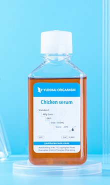 Chicken Serum