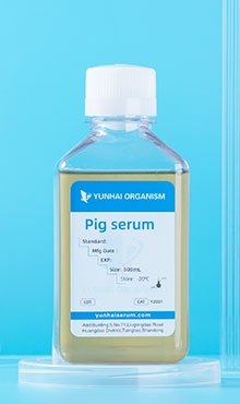 pig serum