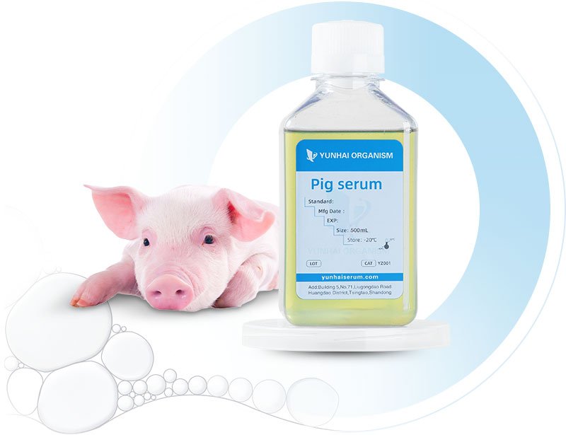 Pig Serum (ps)