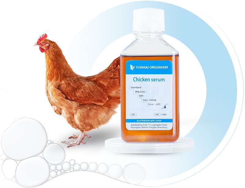 Chicken SerumPig Serum